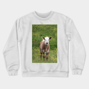 Calf in a Field Crewneck Sweatshirt